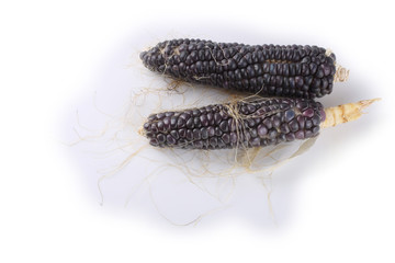 Black corn isolated on white