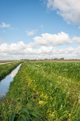 Dutch agricultural polder landscape vertical