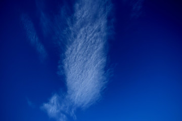 Clouds are floating high in the blue sky.