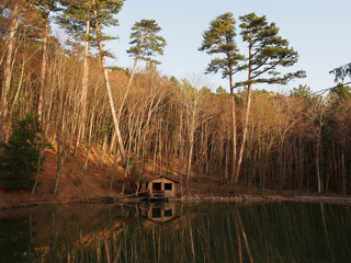 Fototapete bei efototapeten.de bestellen   