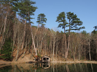 Fototapete bei efototapeten.de bestellen   