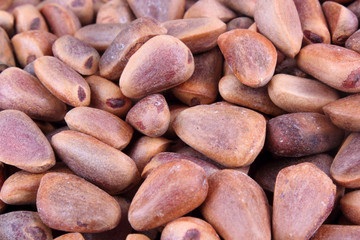 Cedar nuts background