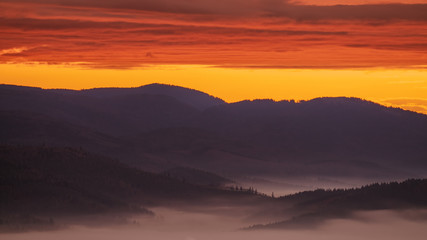Golden sky and fog in the black forest