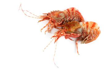 Shrimps isolated on white (northern Bering shrimp)