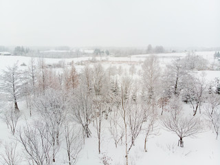 Winter landscape photo of snow covered fields and cottages with bare Tree 