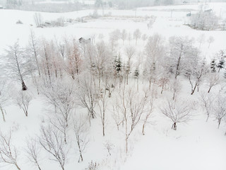 Winter landscape photo of snow covered fields and cottages with bare Tree 