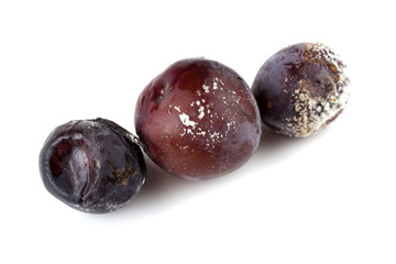 Rotten plums isolated on white
