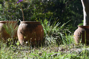 terracotta pots left in meadow