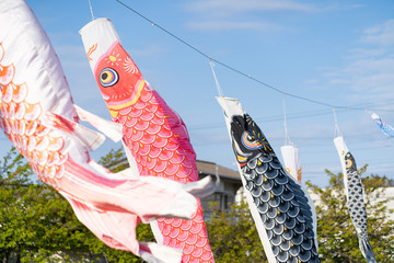 写真素材: 大空に泳ぐ鯉のぼり