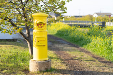 Fototapeta na wymiar 写真素材: 黄色の郵便ポスト