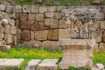 Columns and walls of the city of Jerash in Jordan in March in the spring as yellow flowers are blooming