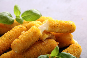 Breaded mozzarella cheese sticks with tomato ketchup