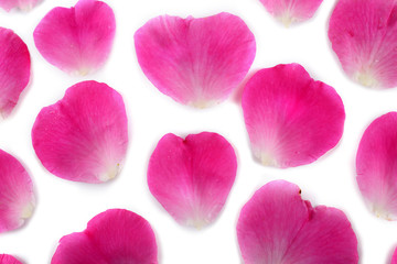 Fototapeta na wymiar Rose petals in a shape of heart. Valentine's day concent