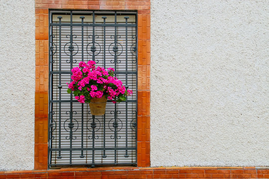 Un geranio de flores rosas en una ventana con rejas de una casa de pueblo en Andaluc&iacute;a (Sanl&uacute;car de Guadiana, Espa&ntilde;a).