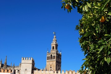 Cathedral of Saint Mary of the See and La Giralda Tower seen from Plaza Patio de Banderas, Seville, Spain.