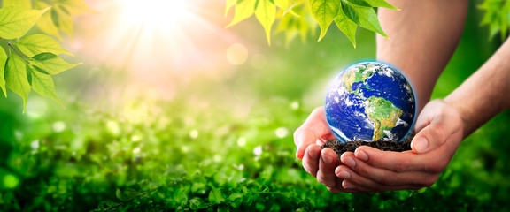 Hands Holding Planet Earth On Soil In Lush Green Environment With Sunlight - The Environment Concept - Some Elements Of This Image Were Provided By NASA