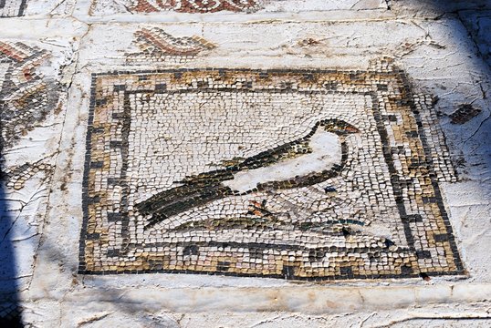 Mosaic flooring in the Bird House at the Roman ruins site of Italica, Seville, Spain.