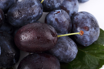 Blue plums background