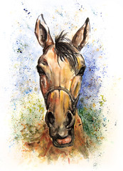 The horse © Platon