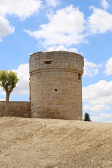 Fototapeta na wymiar Castillo de Trigueros