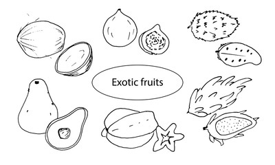 Set of exotic fruits. Guanabana, coconut, figs, pataya, avocado, carambola. Doodle Black outline. Isolated on a white background. Decor element. Vector illustration