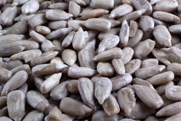 Sunflower seeds background