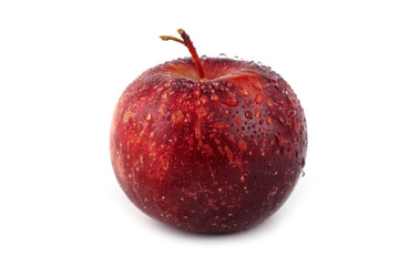 Red little apple
