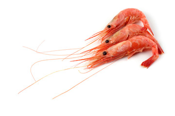 Shrimps isolated on white