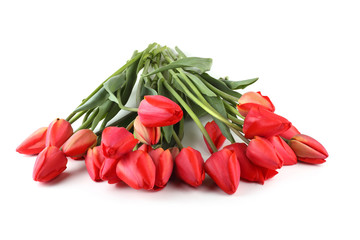 Red tulips isolated on white