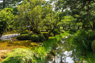 Fototapeta na wymiar Idyllic landscape of Kenroku-en garden during summer, Kanazawa, Japan