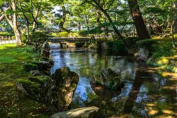Lush vegetation during summer at Kenrokuen in Kanazawa, the most celebrated landscape garden of Japan