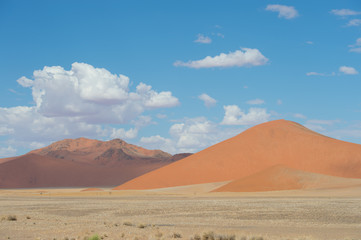 Fototapeta na wymiar Red Sand Dunes in Namibian Desert