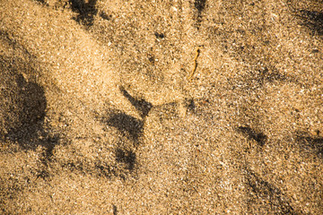 Top view of pale yellowish brown colored textured sand at Jampore beach of Daman in India as background