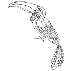 Fototapeta premium Vector hand drawn toucan. Hand drawing coloring book for children and adults.