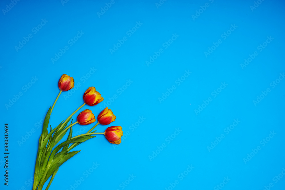 Poster tulips flowers on natural background.