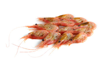 Shrimps isolated on white