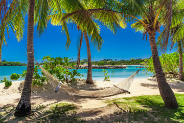 Fototapeta premium Palm trees on a white sandy beach at Plantation Island, Fiji, South Pacific