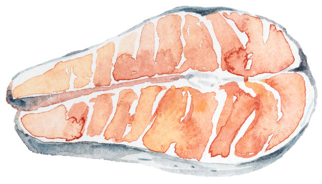 Hand painted watercolor salmon steak isolated on white. Lovely illustration for pattern, menu card