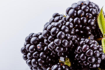 juicy blackberries on a white acrylic background