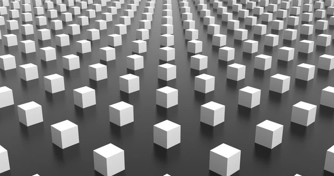 abstract background with cubes 【loop】