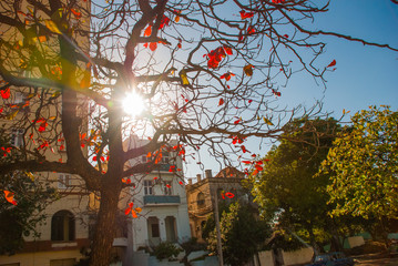 HAVANA, CUBA- MARCH 2018: landscape with a view of beautiful Cuban houses on a local street