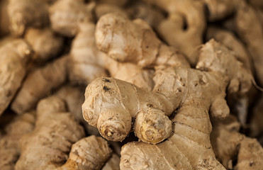 Fresh organic ginger on fresh market