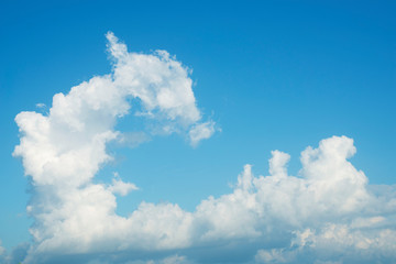 Naklejka na ściany i meble The white clouds look like the back looking in the blue sky.