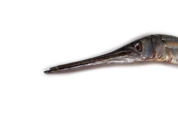 Garfish isolated on white