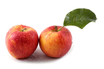 Apples and leaves