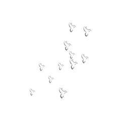 pigeon logo