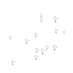 pigeon logo
