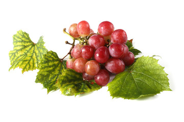 Grape on autumn leaves