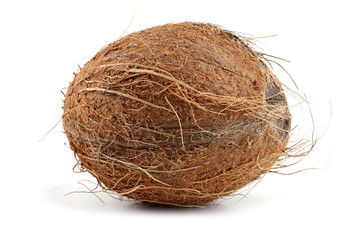 Coconut isolated on white