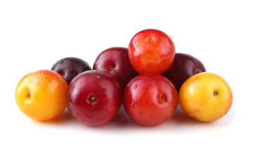 Different color plums